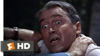 Rear Window (9/10) Movie CLIP - Out the Window (1954) HD