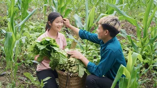 Harvesting green vegetables to sell at the market, cooking pig bran, farm life, Triệu Thị Phương