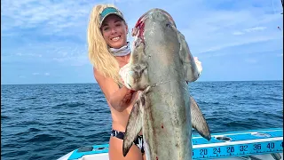 Harvesting FISH RIBS for the BBQ! Best How To Fillet a Cobia- Easy & Simple Fish Cleaning