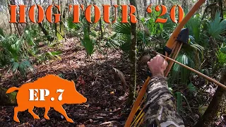 Back to HOG MECCA - Recurve Bow Hunting Public Land Hog Tour '20 Ep.7