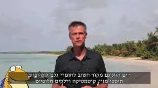 Two Minutes on Oceans with Jim Toomey:  Value of Our Oceans - הערך האמיתי של הים שלנו