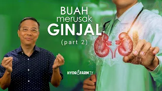 Buah Merusak GINJAL !! (Part 2)