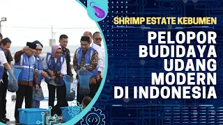 Shrimp Estate Kebumen, Pelopor Budidaya Udang Modern di Indonesia