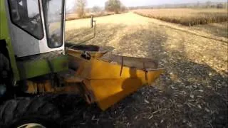 Kukorica aratás 2011