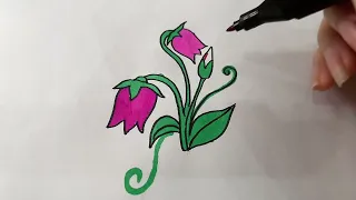 Color and complete the picture of the Tulip flower