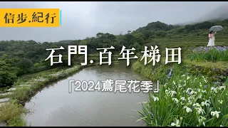 梵谷也為之讚嘆的百年鳶尾花梯田。2024石門尖山湖嵩山石梯田紀行