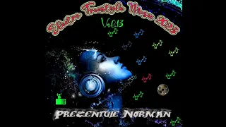 Electro Freestyle Music 2023 Vol 13 Set Compilated By Norman