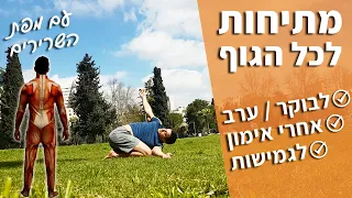 אימון מתיחות לכל הגוף - מתיחות אחרי אימון / מתיחות בוקר (אימון גמישות)