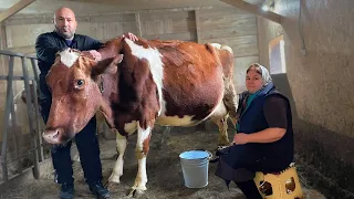 🧀CHEESE WITH YOUR OWN HANDS🐄Cheese factory at home