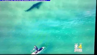 GREAT WHITE SHARK VS. PADDLE BOARDER ON NAUSET BEACH...