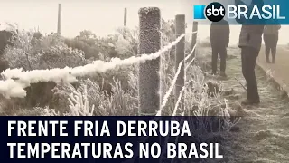 Doze cidades registram temperaturas negativas | SBT Brasil (19/08/22)