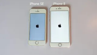 iPhone SE Vs iPhone 8 Speed Test in 2023 - iOS 15 vs iOS 16