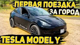 Тест Драйв Tesla Model Y -  Едем на Пасеку в Лес