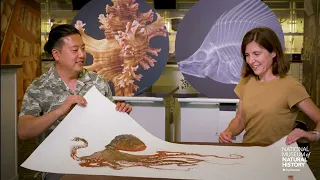 Gyotaku Fish Printing with Dwight Hwang