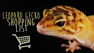 10 Things To Buy For Your Pet Leopard Gecko!