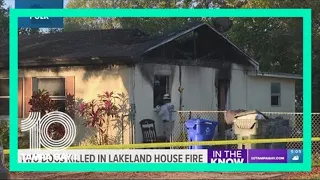 2 dogs die in Lakeland house fire
