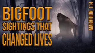 Bigfoot Sightings That Changed Lives. Marathon 114