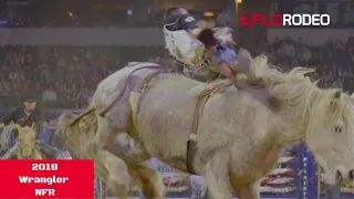Virgil: The Best Bucking Horse Of All Time