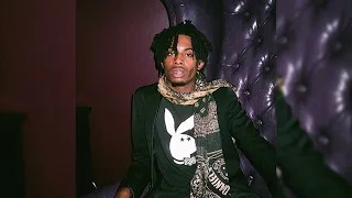 Playboi Carti - Hoe Fo Sho (Instrumental Remake)