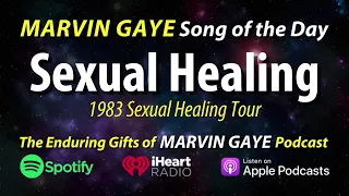 Marvin Gaye Sexual Healing (1983 Sexual Healing Tour)