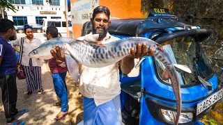 Amazing Sri Lankan Food - ARMY SPECIAL FORCES in Batticaloa, Sri Lanka!