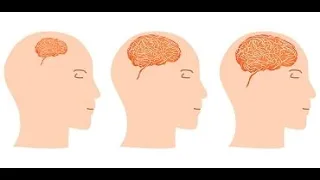 Czy rozmiar mózgu świadczy o inteligencji człowieka?