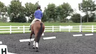 Riding with a balanced position in walk, trot and canter