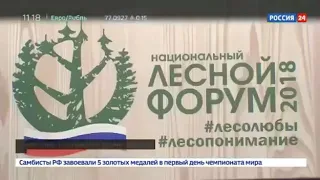 На канале «Россия 24» вышел спецрепортаж Бориса Соболева «Ни леса, ни посадок»