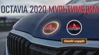 Новая Шкода Октавия Мультимедиа / New Skoda Octavia Multimedia Lady Rules