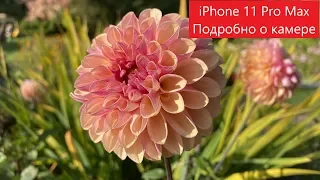 Обзор iPhone 11 Pro Max #3. Подробно о камере.