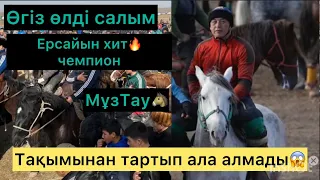 Жарас ағамыздың көкпары алтынтөбе өгіз бастаған тоғыз тартыс. Көкпар әлемі .көкпар