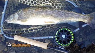 Fish Tech Fishing Tip: Targeting Winter Whitefish