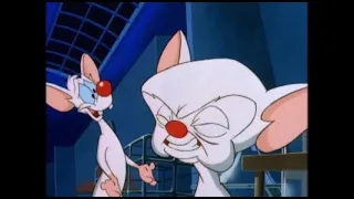 Pinky and the Brain - John Brain