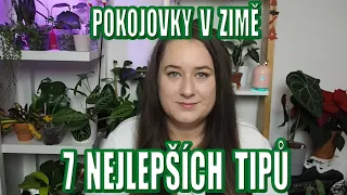 Pokojovky v zimě - zalévání, hnojení, vlhkost, škůdci ... (7 nejlepších tipů)