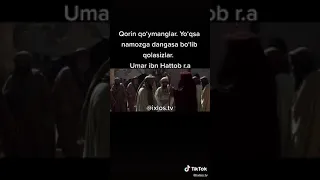 Umar ibn Hattob nima dedi                             Qorin qoyish mumkinmi buni õziz kõrin