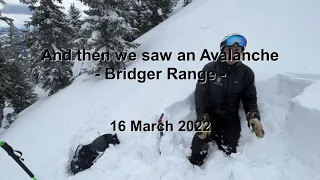 And then we saw an Avalanche - 16 March 2022