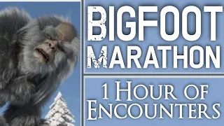 Bigfoot Ultra Marathon #11 - Over One Hour of Bigfoot Encounters