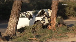 3 Dead, 1 in Critical, Horrific Car vs Tree Crash | Chula Vista