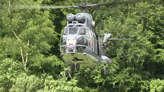 RAF Tiger stripe Puma Helicopter