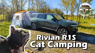 Cat Camping at a Cozy Farm Overnight Camping ~ Rivian R1S EV ~ ft. Roosters