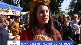 У Снятині на Франківщині відбувся фестиваль Покутське яблуко Like TV