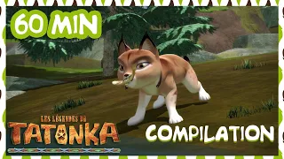 Tatonka Nouvelle Compilation 🐺 La partie de pêche 🐟 Dessins animés de loups
