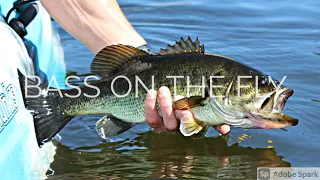 Fly Fishing for Bass  (ON KAYAK) - Winter is Coming