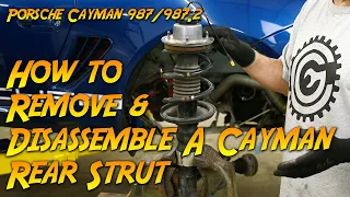 How to remove and disassemble the Porsche Cayman rear struts (987/987.2)