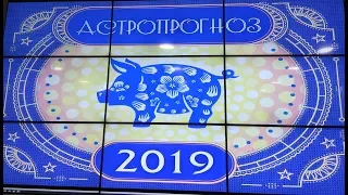 Астрологический прогноз и прогноз по фен шуй на 2019 год от Натальи Гайдаревой.