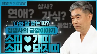 [대성TV🎬]소띠는 개띠와 돼지띠 중 어느 띠와 더 궁합이 잘 맞을까요? 소띠 X 개띠, 돼지띠 궁합 【Feat. 경기광주 용한 무당 법사 정명환】