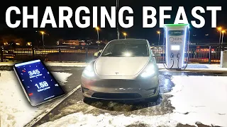 This Special BYD Model Y Is a Charging Beast