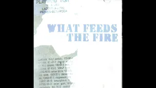 What Feeds The Fire ‎– Set Me Free