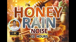 Soothing Honey Rain Noise | 12 Hours BLACK SCREEN | Study, Sleep, Tinnitus Relief & Focus