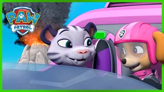 Skye zachraňuje tigry před sopkou! - Tlapková Patrola PAW Patrol - pohádky pro děti